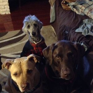 Meet your Posher, Maki